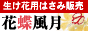���E�l�u��䌹��v�́y�Ԓ������z
