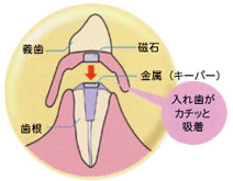 ふるかわ