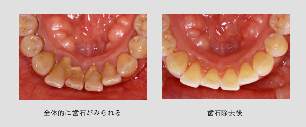 ふるかわ